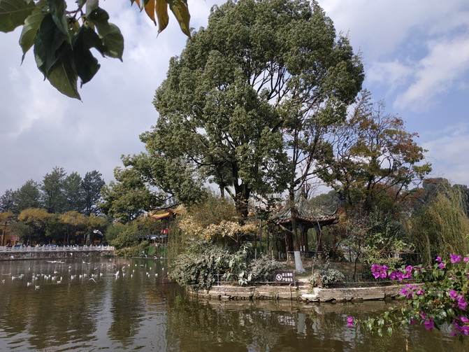 昆明旅游网