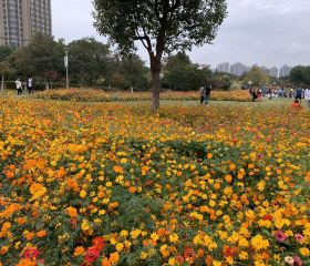 Ningboyuanshi Park