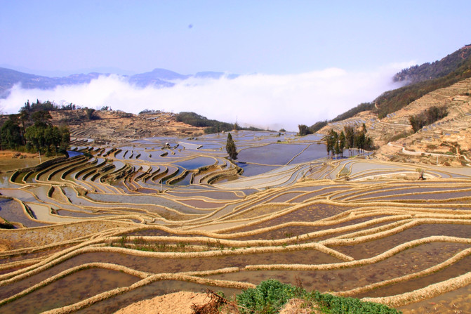 昆明旅游网