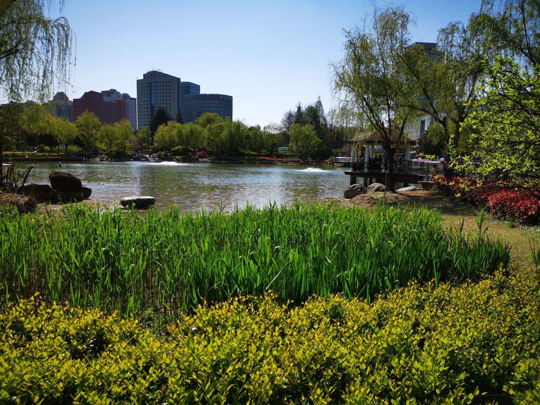 攻略】上海新虹桥中心花园景点,去高岛屋的路上无意发现的一个小公园