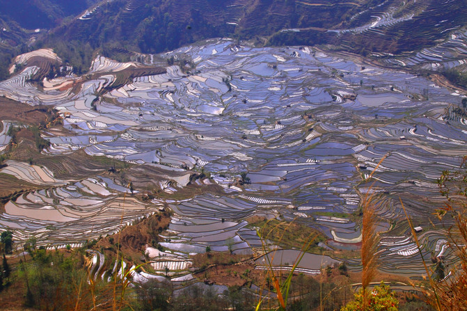 昆明旅游网