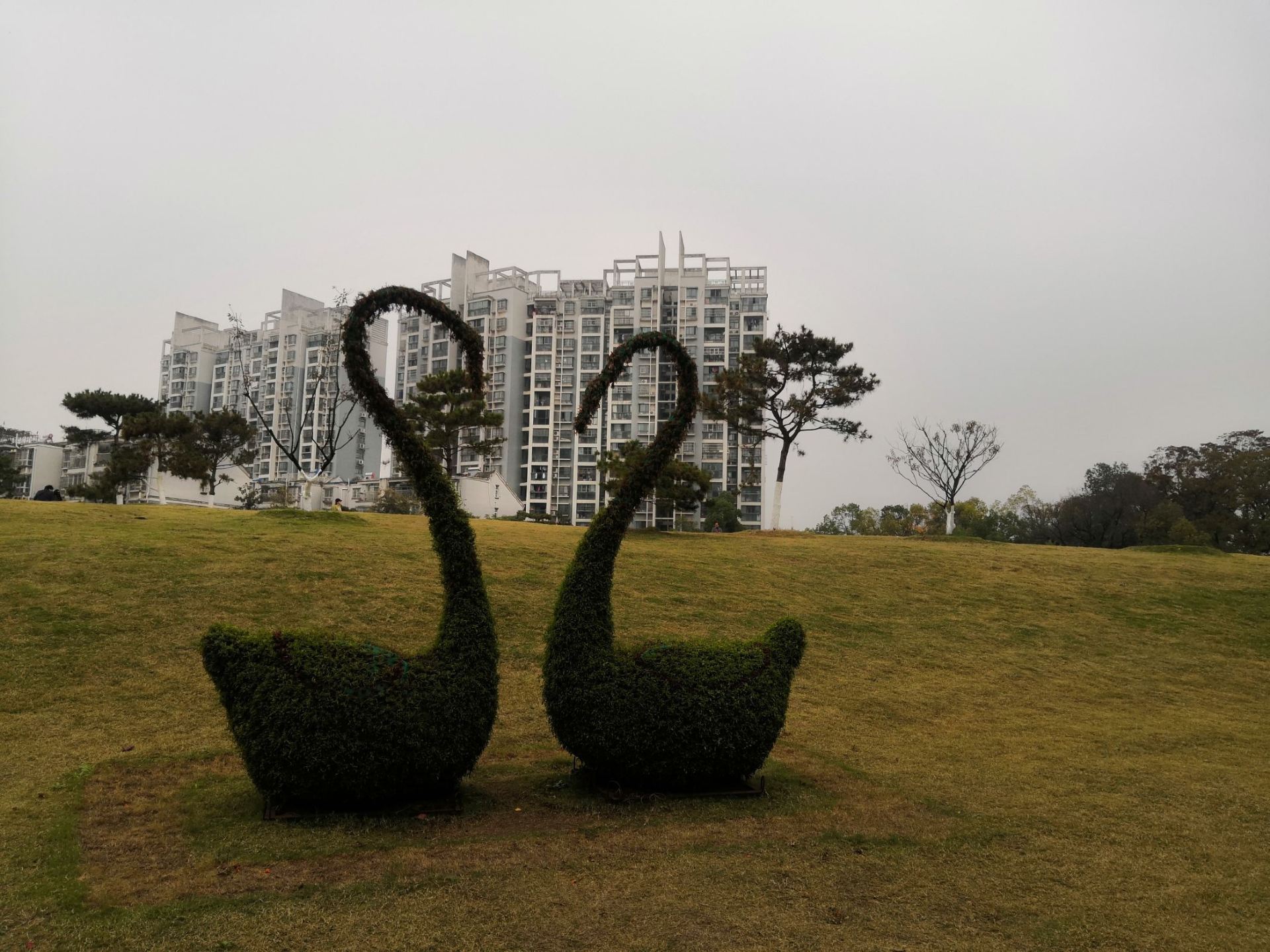 【携程攻略】合肥花冲公园景点,花冲公园升级后变得很美,处处皆美景