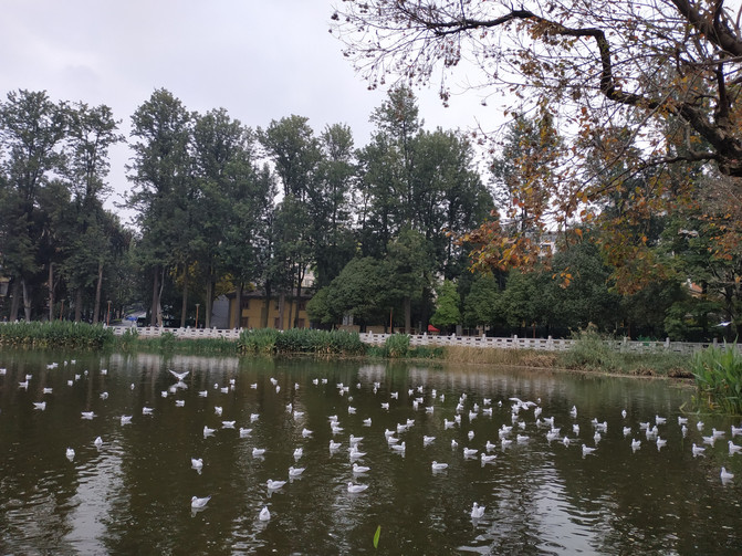 昆明旅游网