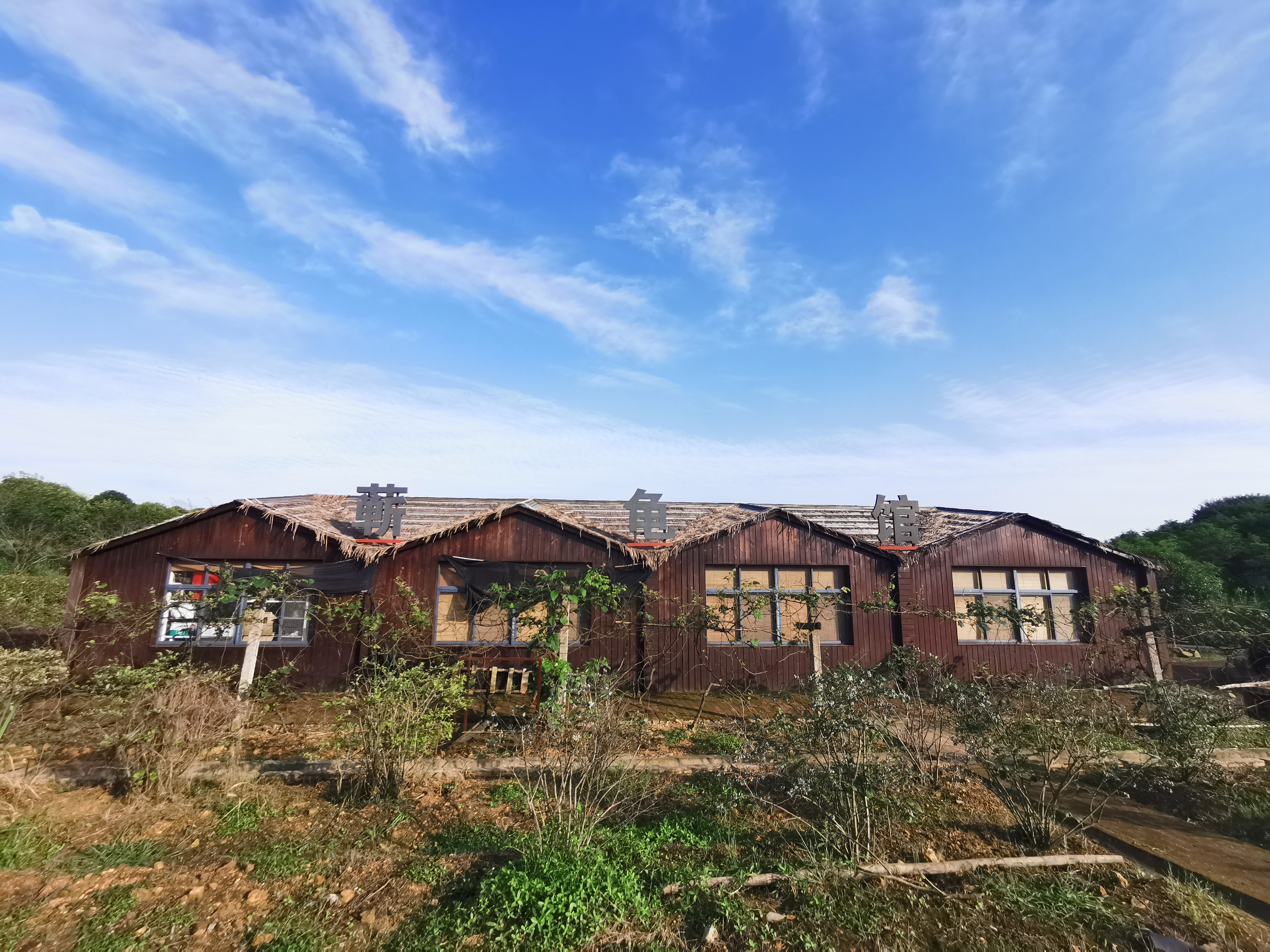 1-Day Wuxue Tour: The Wuzu Temple's ancient charm, Li Shizhen's cultural legacy