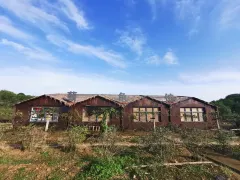 1-Day Wuxue Tour: The Wuzu Temple's ancient charm, Li Shizhen's cultural legacy