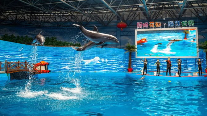 昆明旅游网