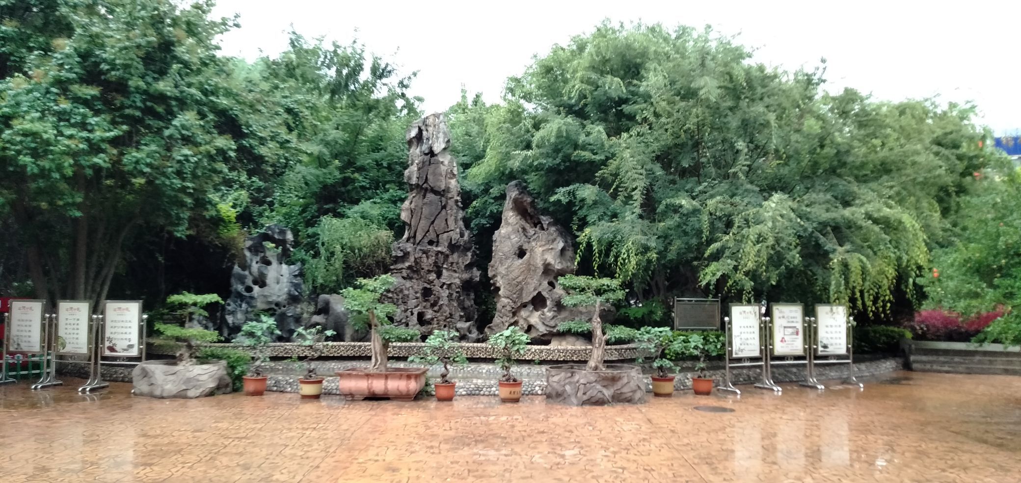 兰州金城盆景园位于城关区南昌路797号是一个市中心地带的以盆景为