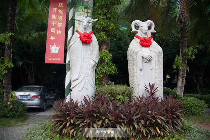 三亚亲子游，吃喝玩乐攻略在此啦！ - 三亚游记攻略