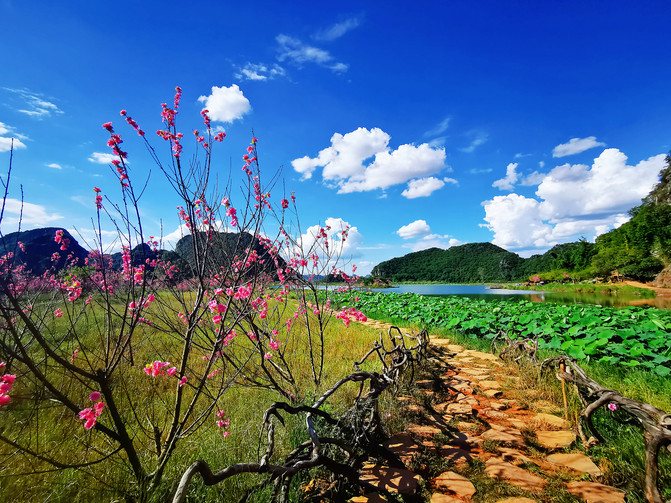 昆明旅游网