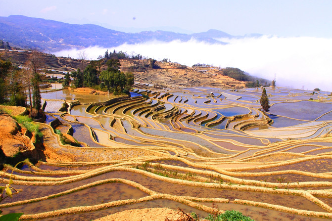 昆明旅游网