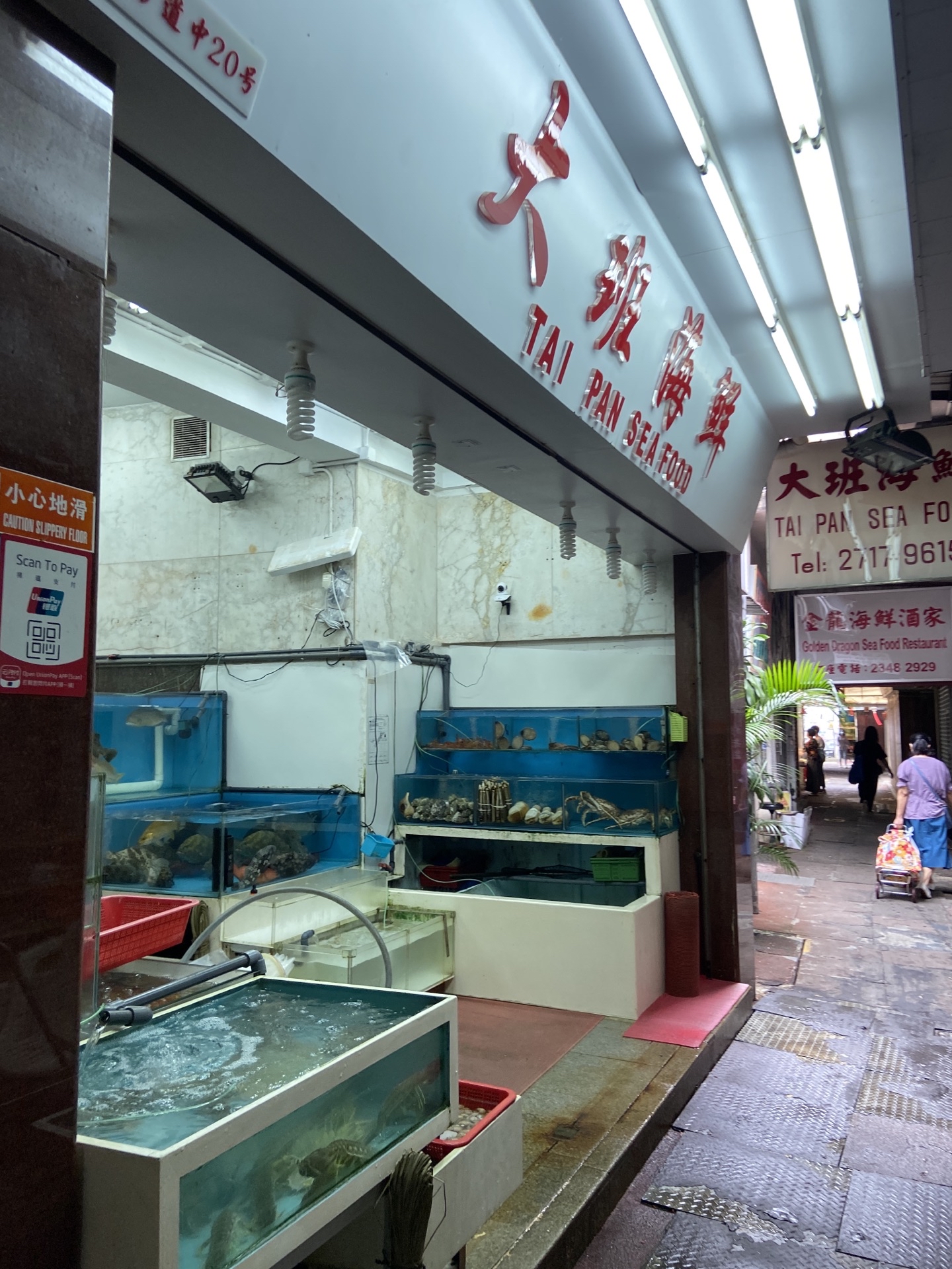 香港鲤鱼门海鲜城图片