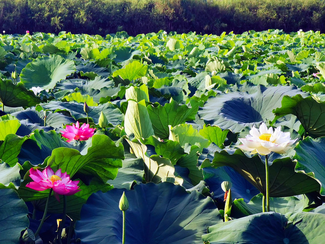 昆明旅游网