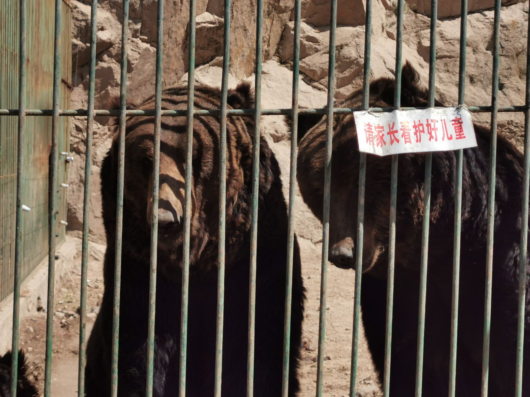 八达岭野生动物园一日游 - 北京户外俱乐部