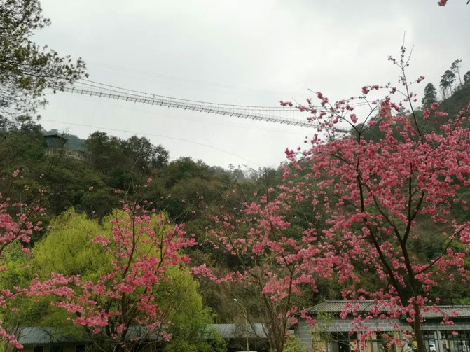 昆明旅游网