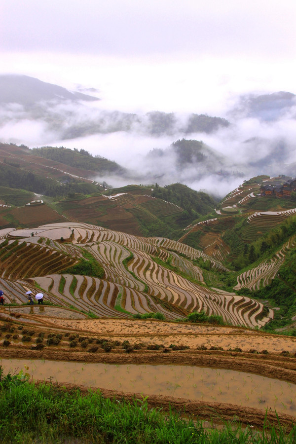 昆明旅游网