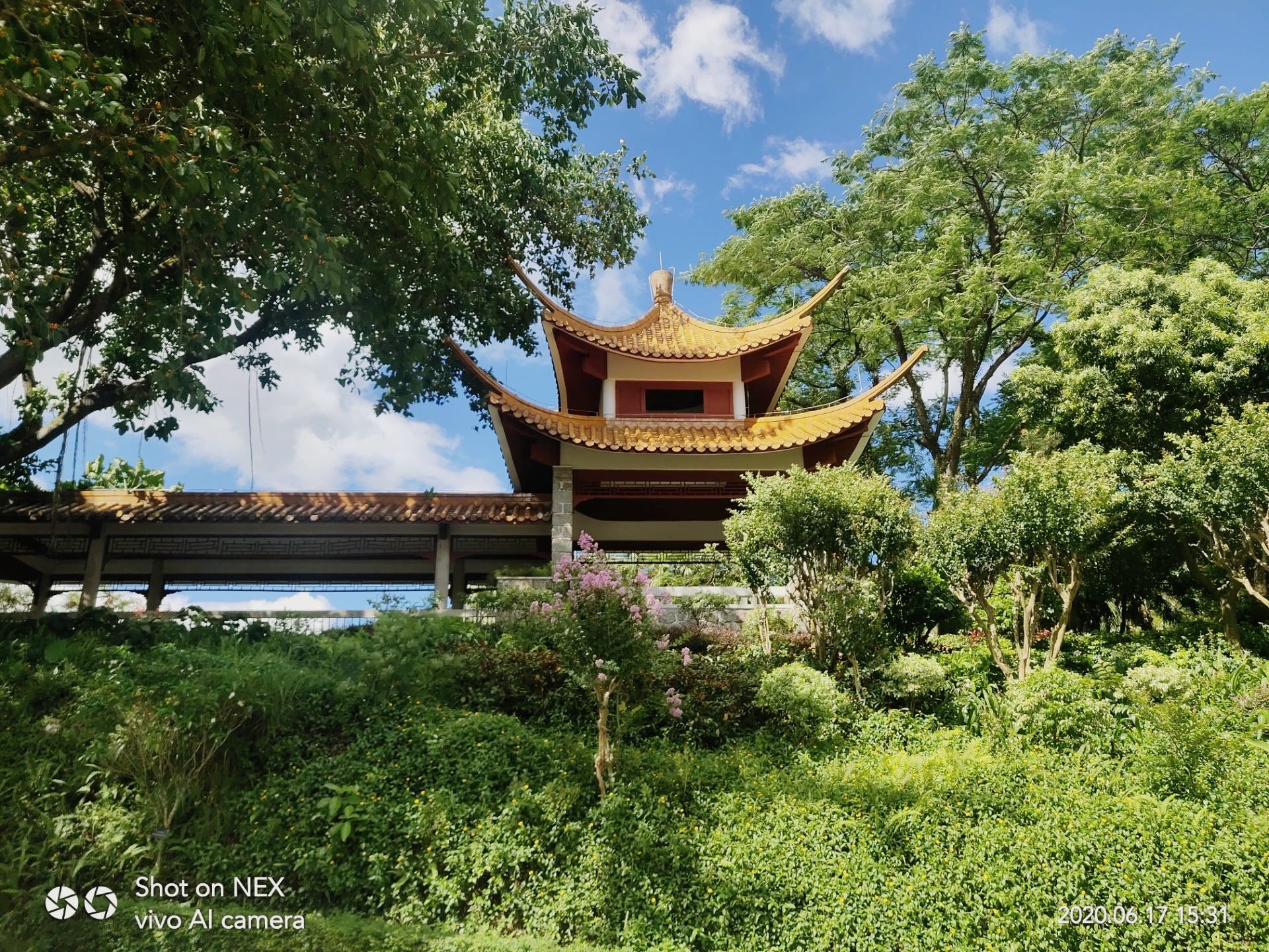 深圳仙湖植物园|摄影|风光摄影|Anciens - 原创作品 - 站酷 (ZCOOL)
