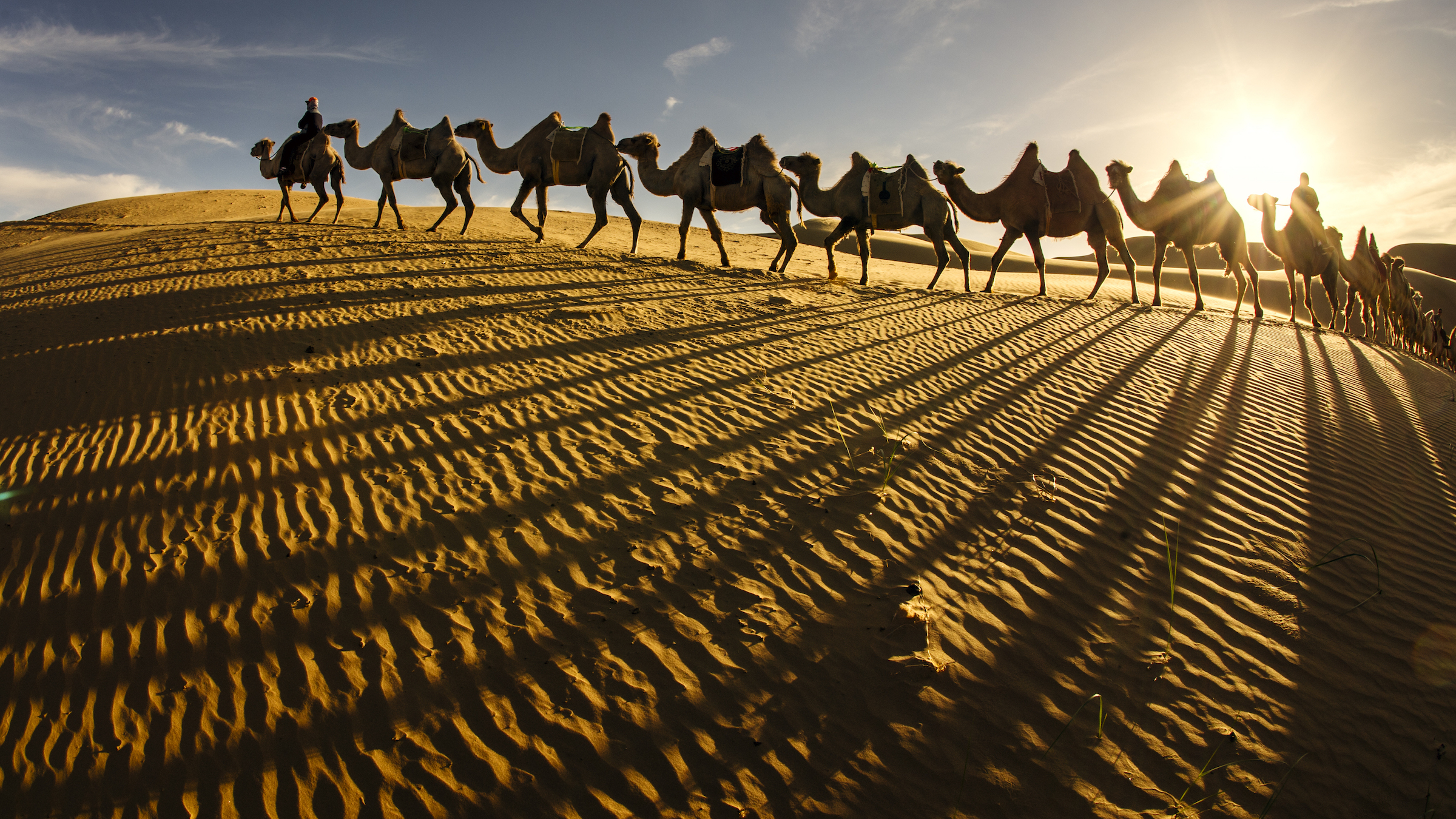 银肯塔拉沙漠生态文化旅游区