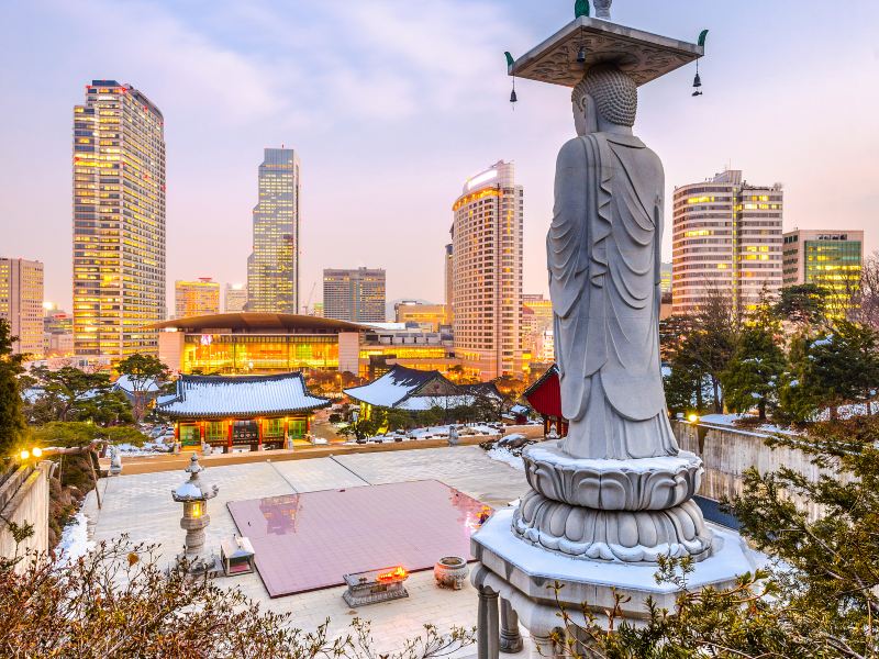 果川市首尔大公园攻略-首尔大公园门票价格多少钱-团购票价预定优惠