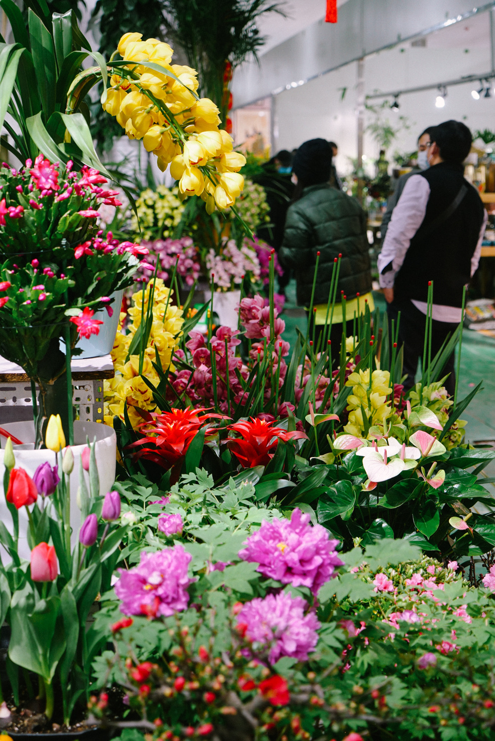 盛华宏林批发市场-综合厅