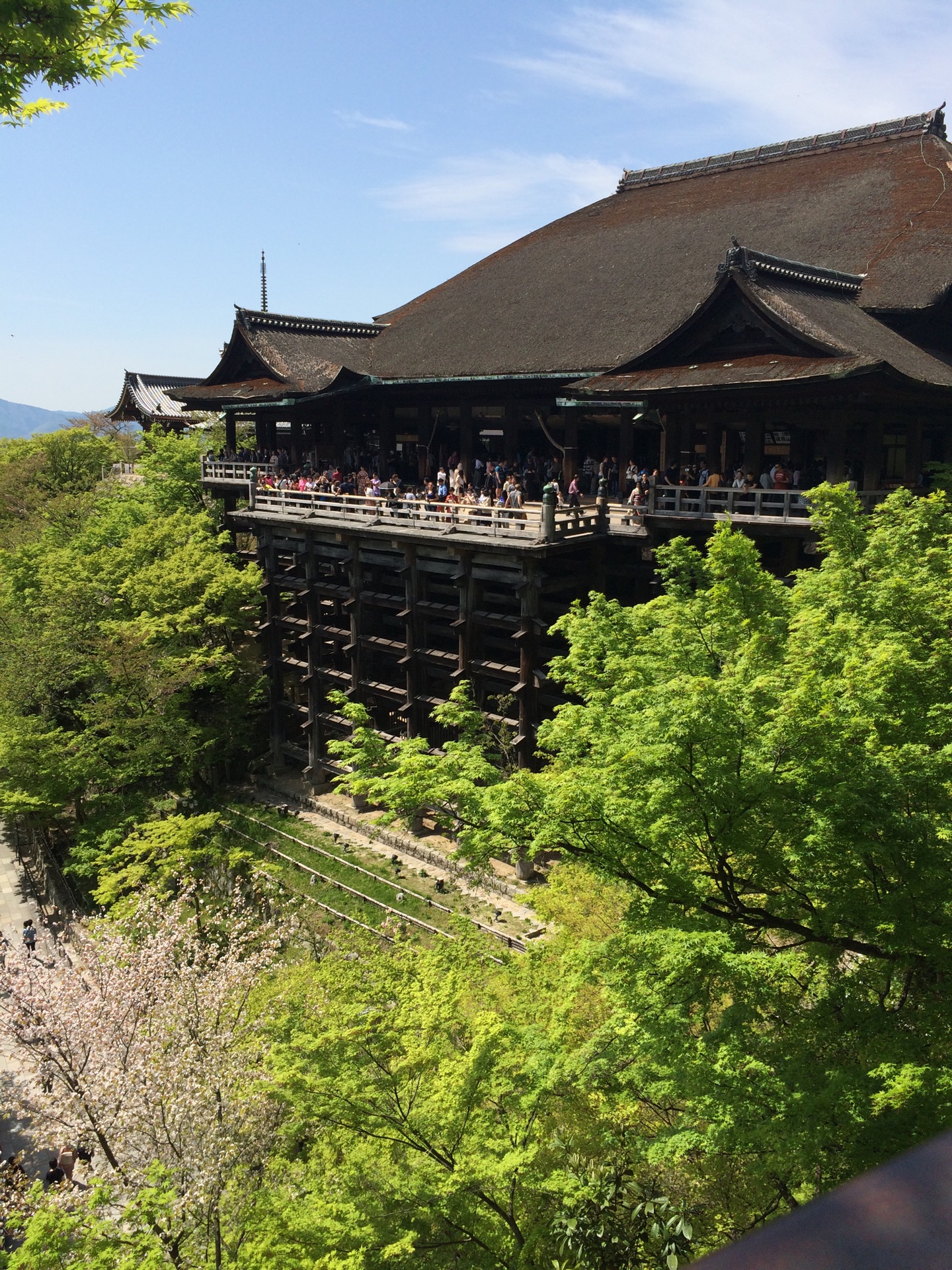 高臺寺 清水寺等京都寺廟是不是都要爬山嗎 本人比較胖 怕(●—●)