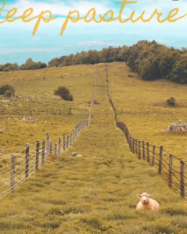昆明旅游网