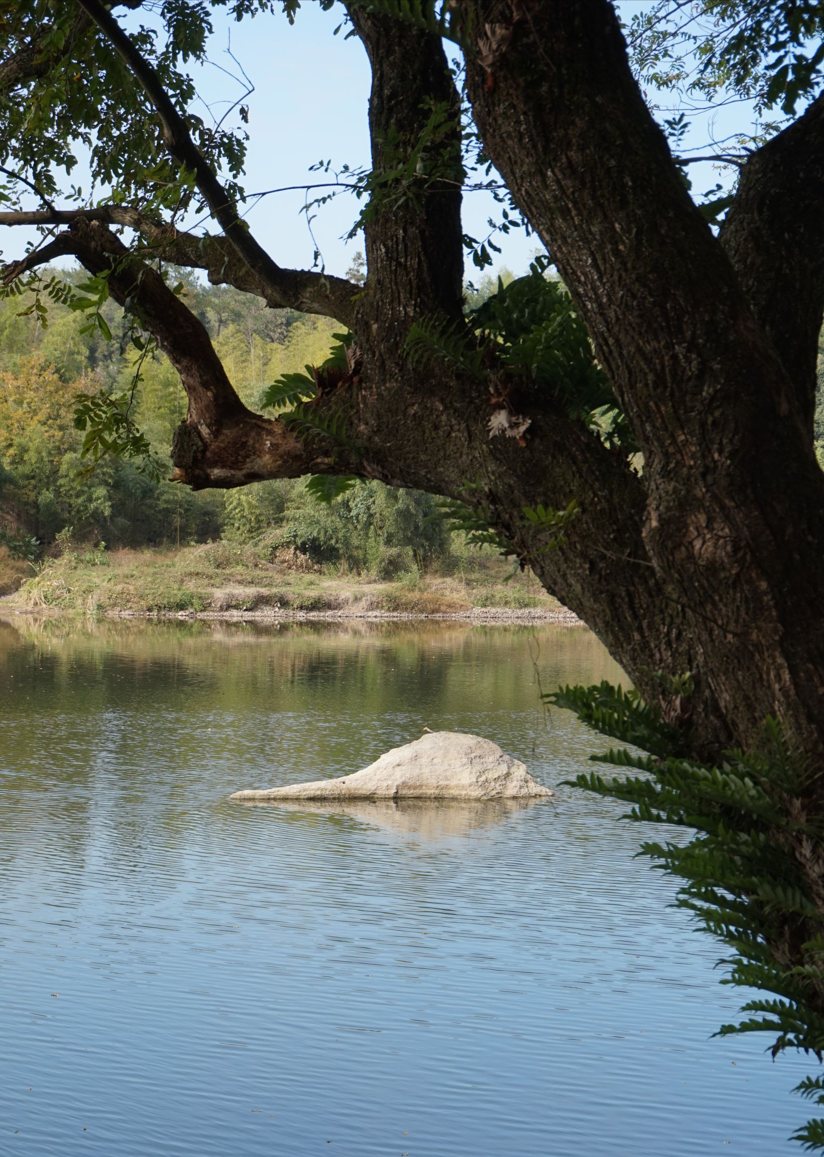 小赤壁,依山临溪,风光旖旎,在缙云仙都景区的5个子景区中,观赏性和