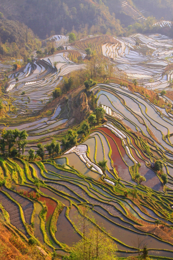 昆明旅游网