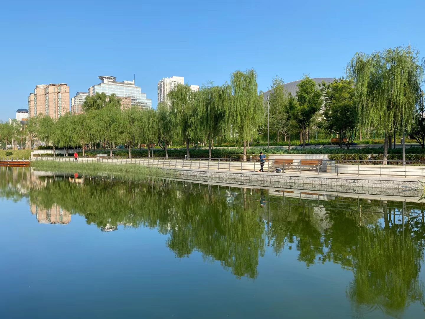 四季常绿，北京广渠路朝阳段沿线最大城市公园月底正式开放|朝阳区|绿地|公园_新浪新闻