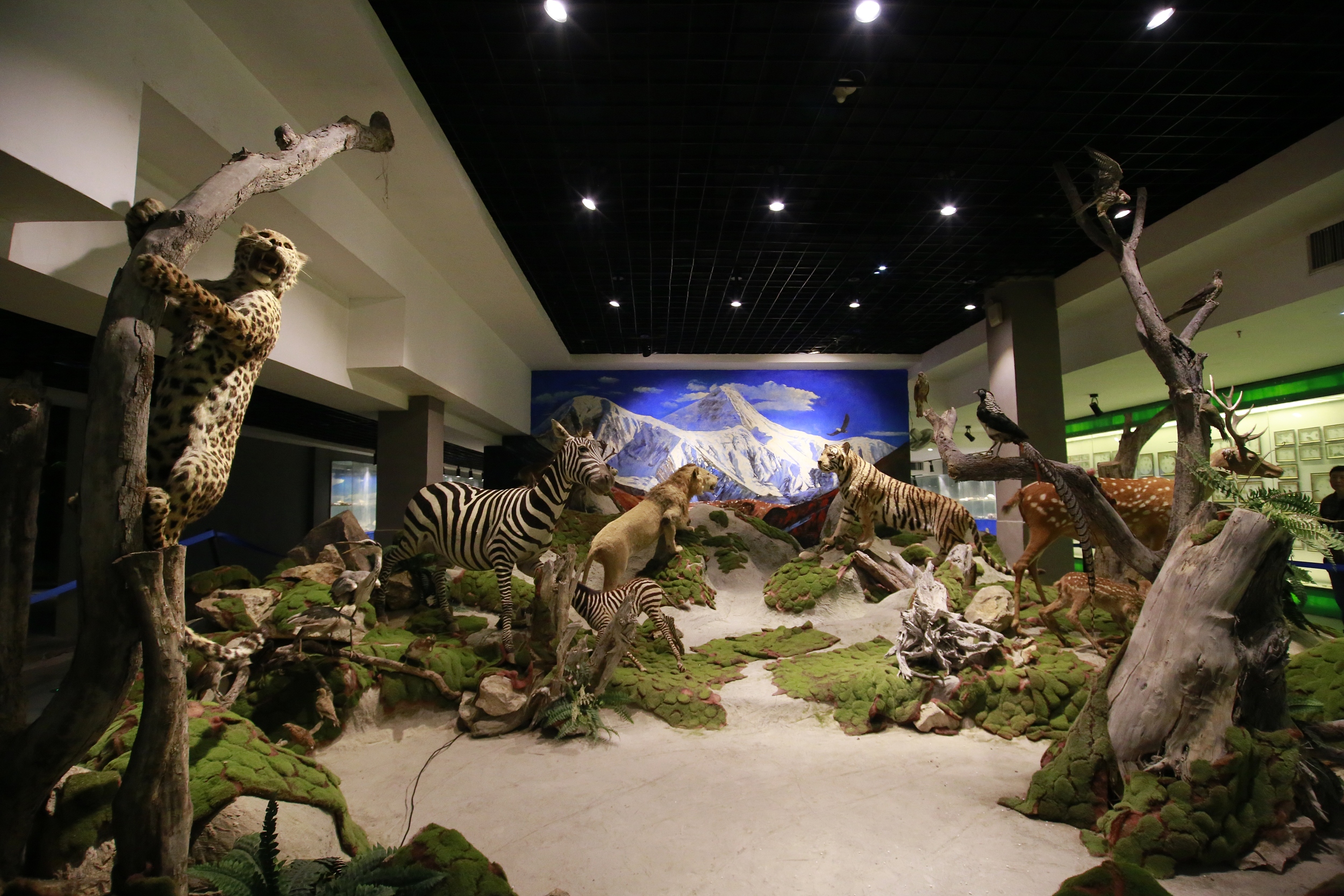 西安西安市新梦想影业博物馆攻略-西安市新梦想影业博物馆门票价格多