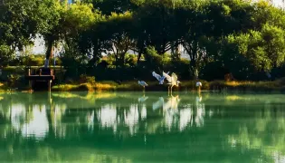 3-Day Fangchenggang Tour: Moon Bay's coastal charm, Dongxing Port's border allure