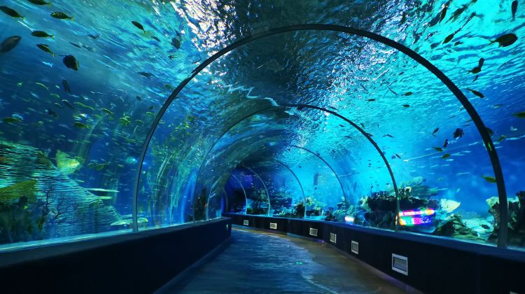 阜阳尧泰汉海海洋公园