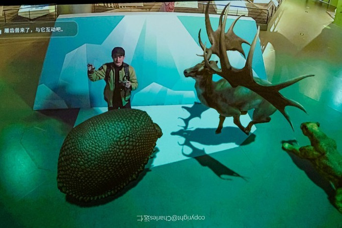 地球上有多少植物种类 植物界分为几类 未命名 沙雕世界