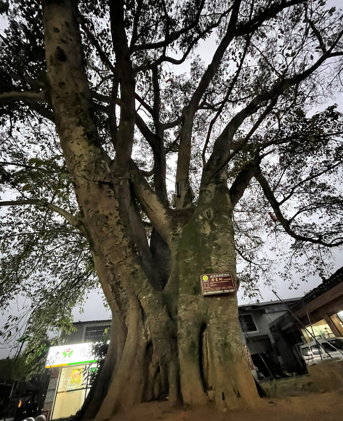 昆明旅游网