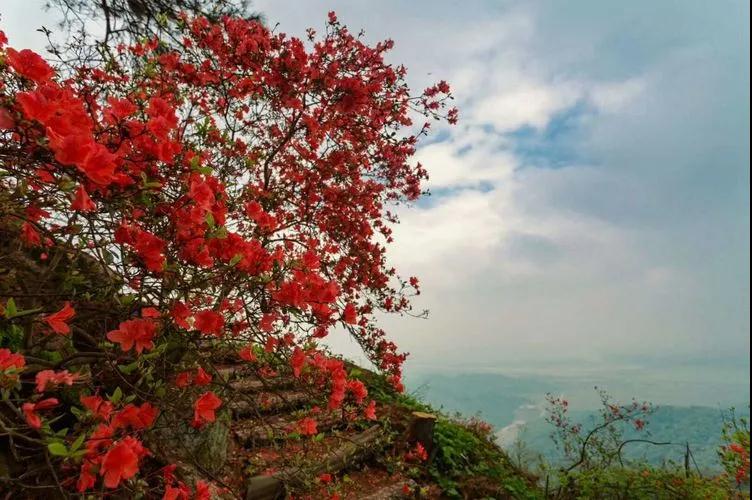 3-Day Yongxiu Tour: Lushan Xihai's scenic beauty, Poyang Lake's migratory bird ecology