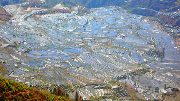 昆明旅游网