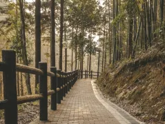 2-Day Huaihua & HongJiang Tour: Explore Forests and Ancient Cities, Discover Nature and History