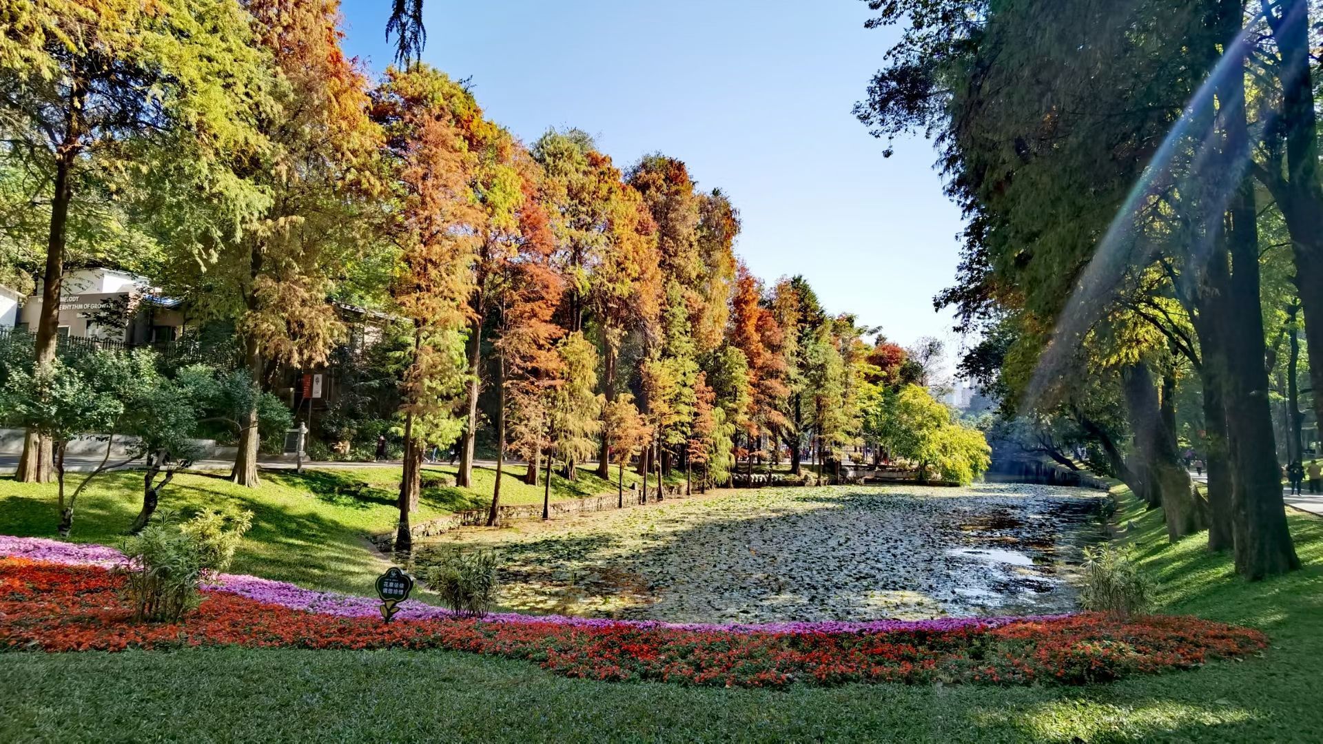 【攜程攻略】廣州越秀公園景點,越來越秀的越秀公園,這天氣這景色也是