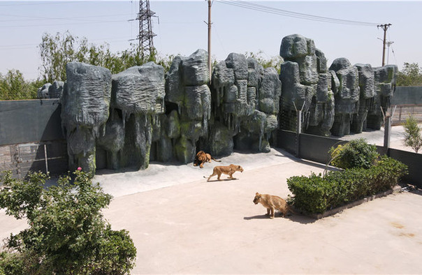 邯郸齐村动物园图片