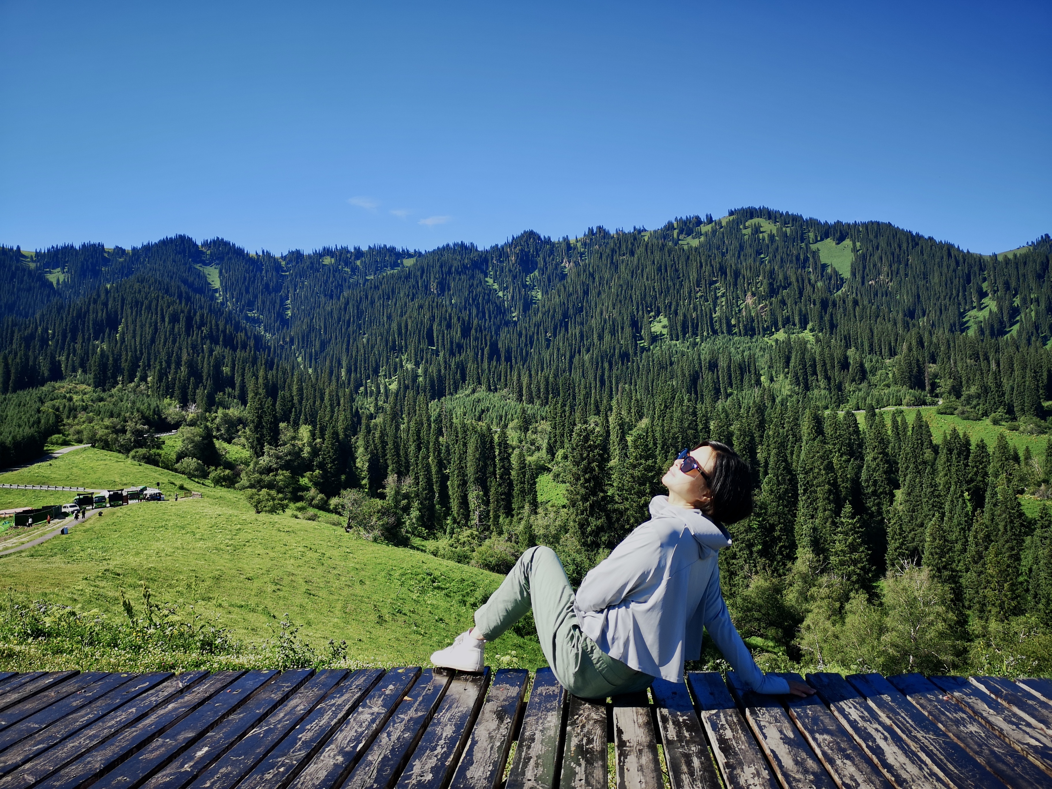 新疆—那拉提草原