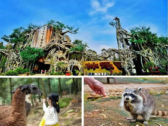 昆明旅游网