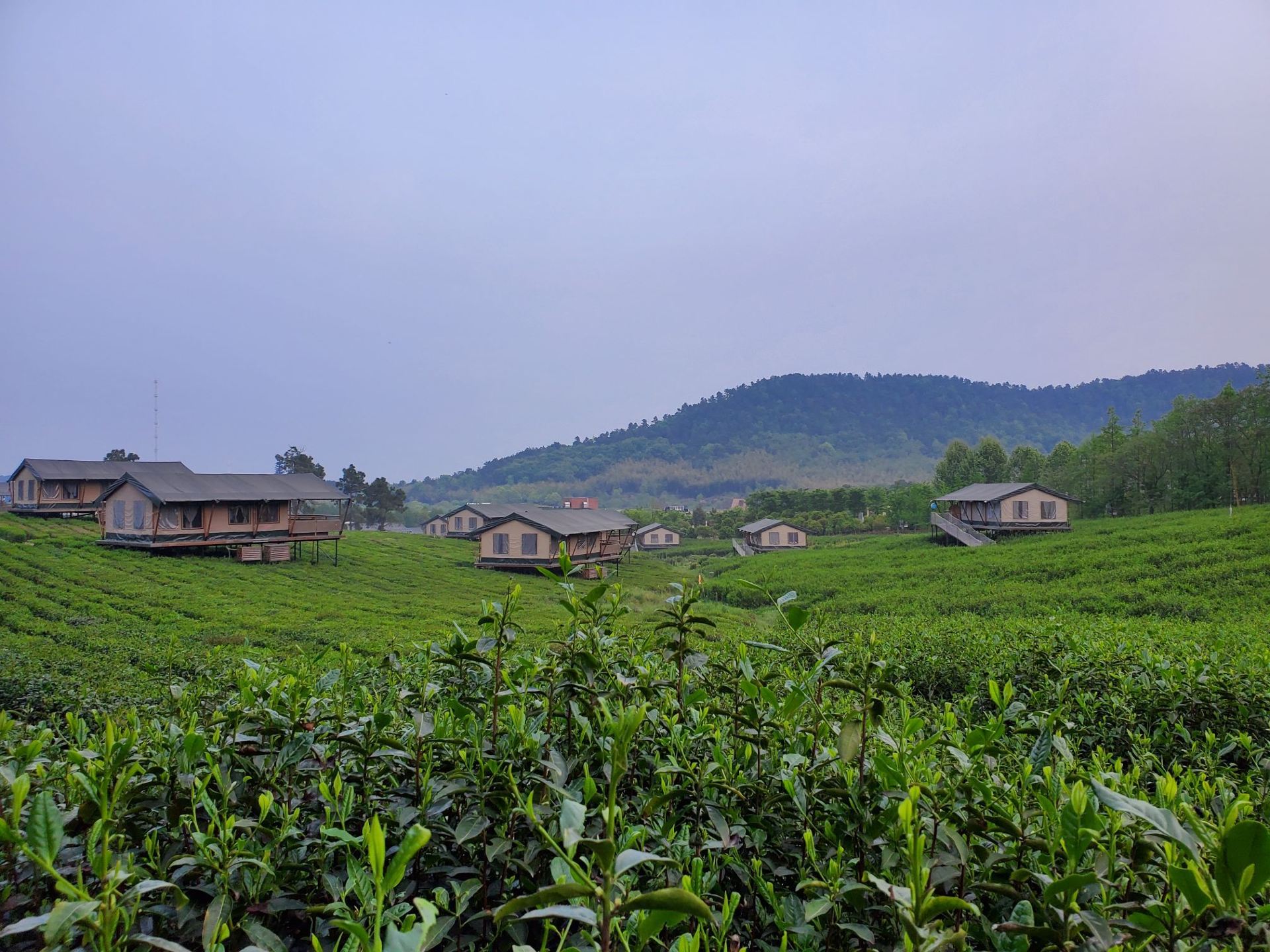 【携程攻略】常州茅山宝盛园景点,适合家庭旅游,风景漂亮远离城市喧嚣