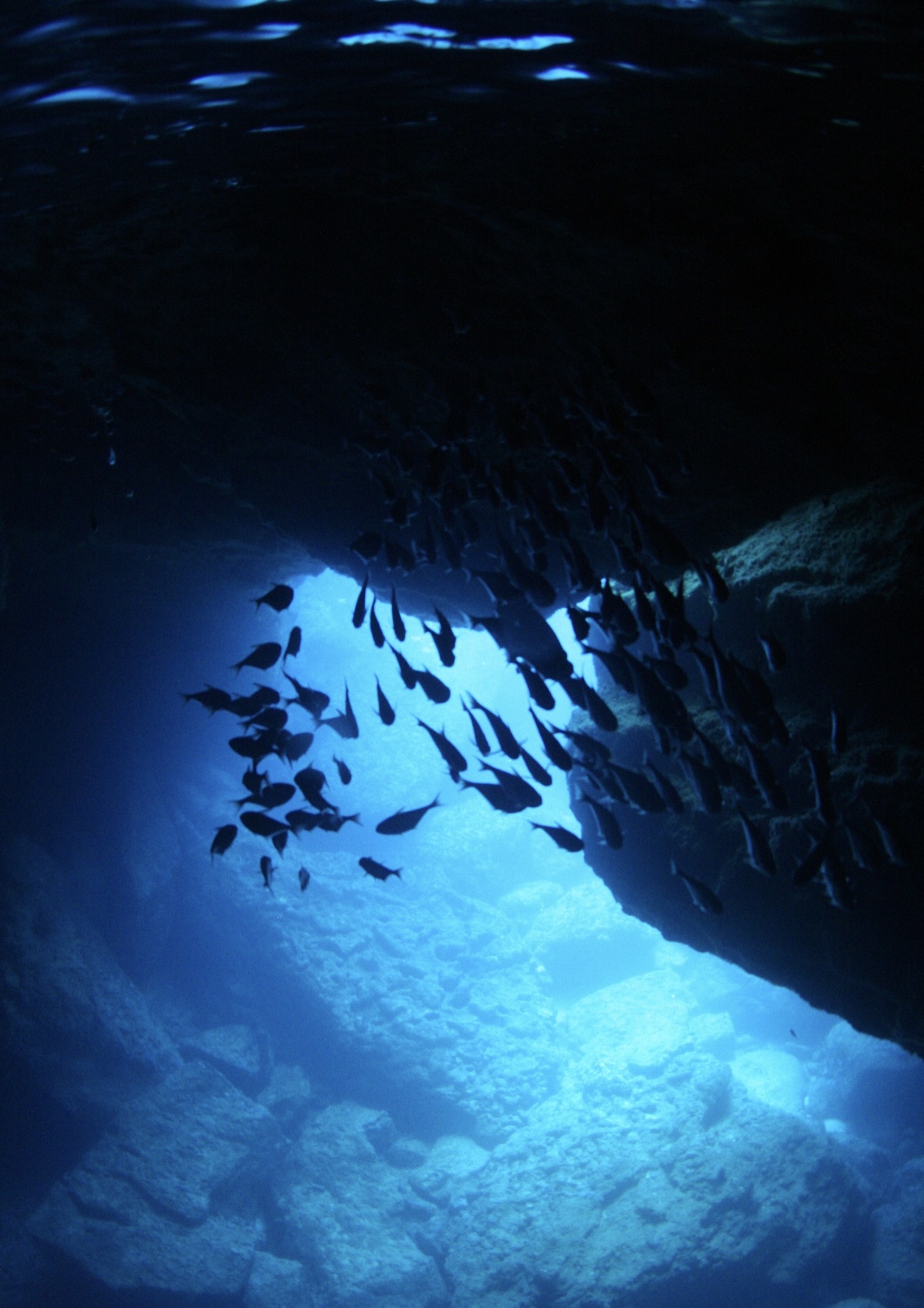 真实蓝洞潜水事故事件图片