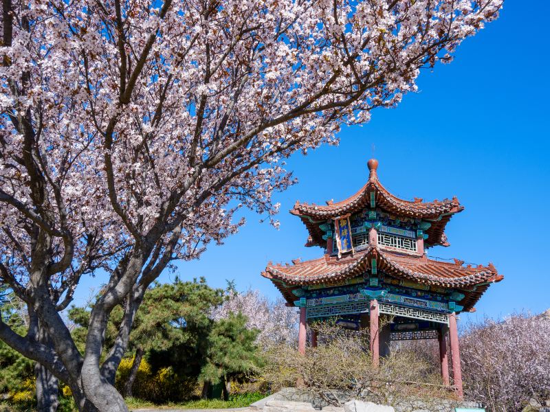 洛陽中國國花園遊玩攻略-中國國花園門票多少錢/價格表-團購票價預定