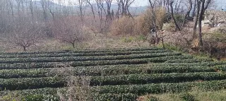 3-Day Rushan Tour: Juyu Mountain's scenic beauty, Chishan's breathtaking views