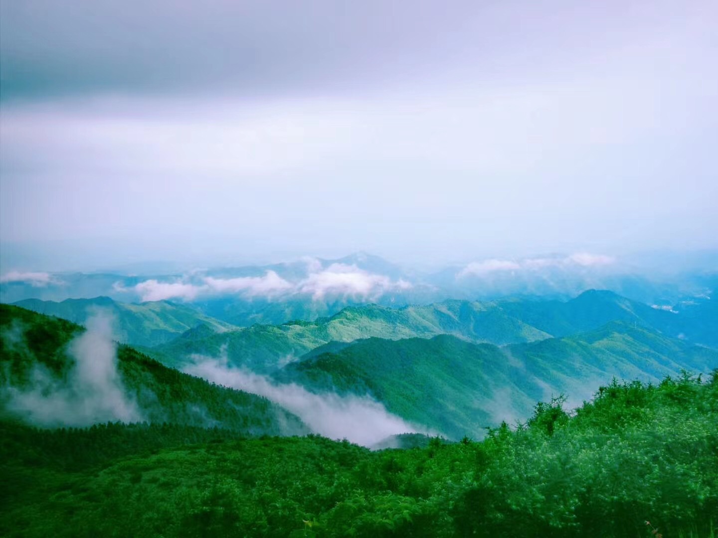 新邵龙山国家森林公园图片