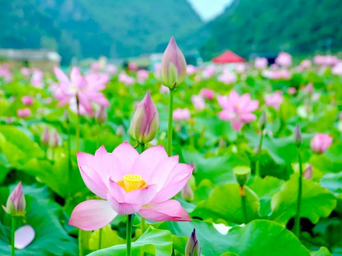 昆明旅游网