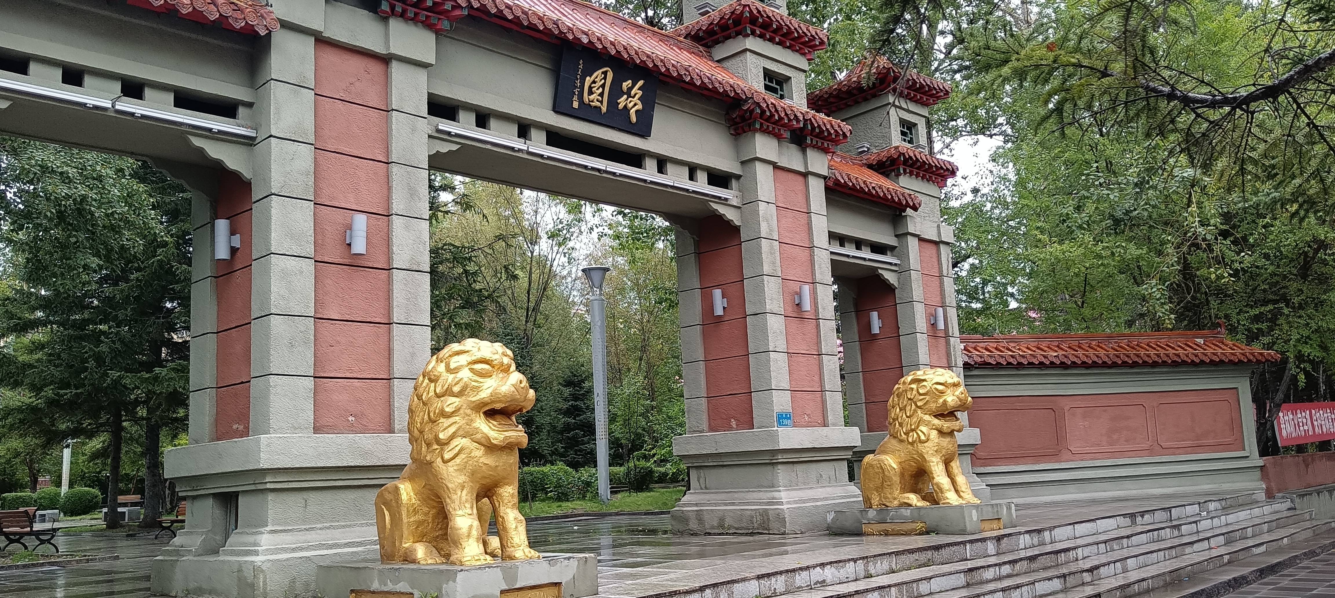 3-Day Daxing'anling Tour: Traverse Northern Forests, Explore Huzhong Nature Reserve
