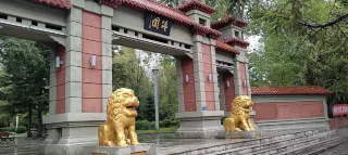大興安嶺3日遊：穿越北方森林，探索呼中自然保護區