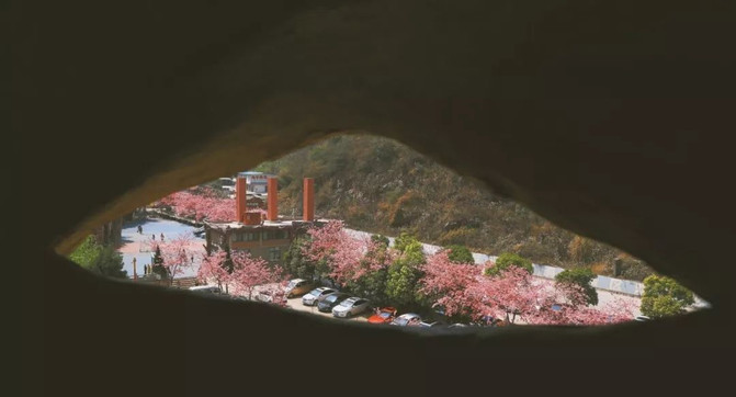 昆明旅游网