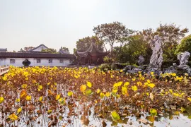 3-Day Suzhou Tour: Lion Grove Garden's elegance, Mudu Ancient Town's serene charm